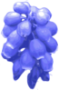 Blurred Bluebell Clip Art